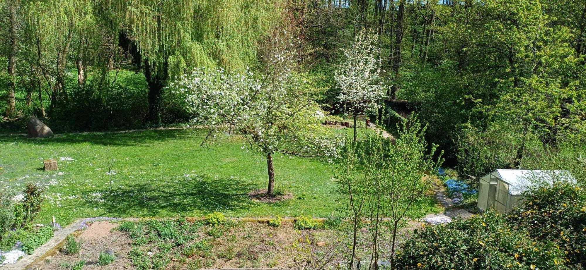 Wohnung In Medlitz Rattelsdorf Kültér fotó